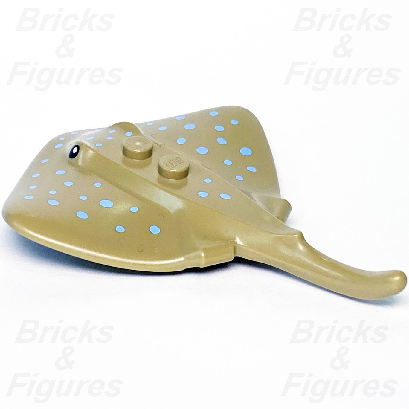 epi