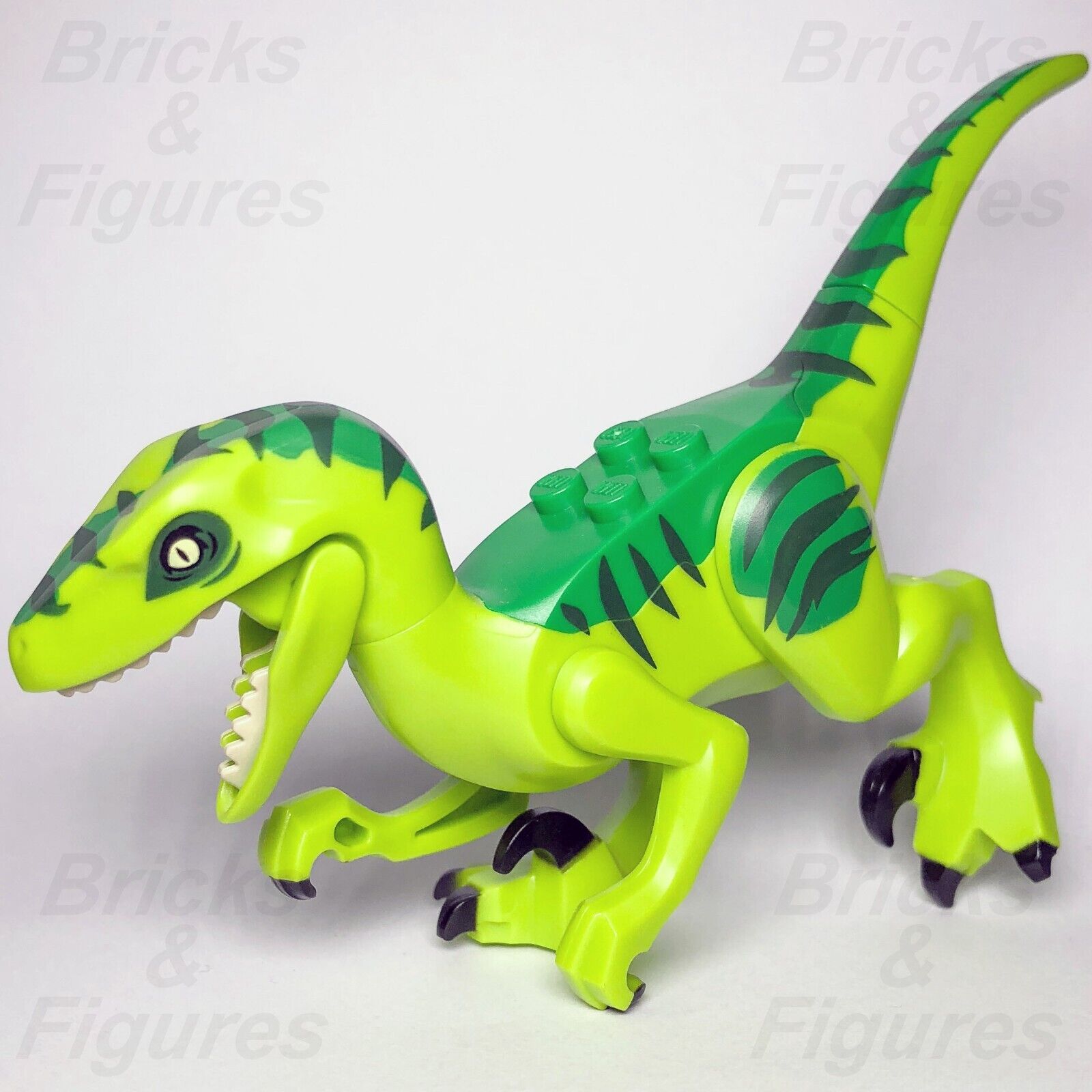 New Jurassic World LEGO® Baby Raptor Orange Dark Green Markings Dinosa