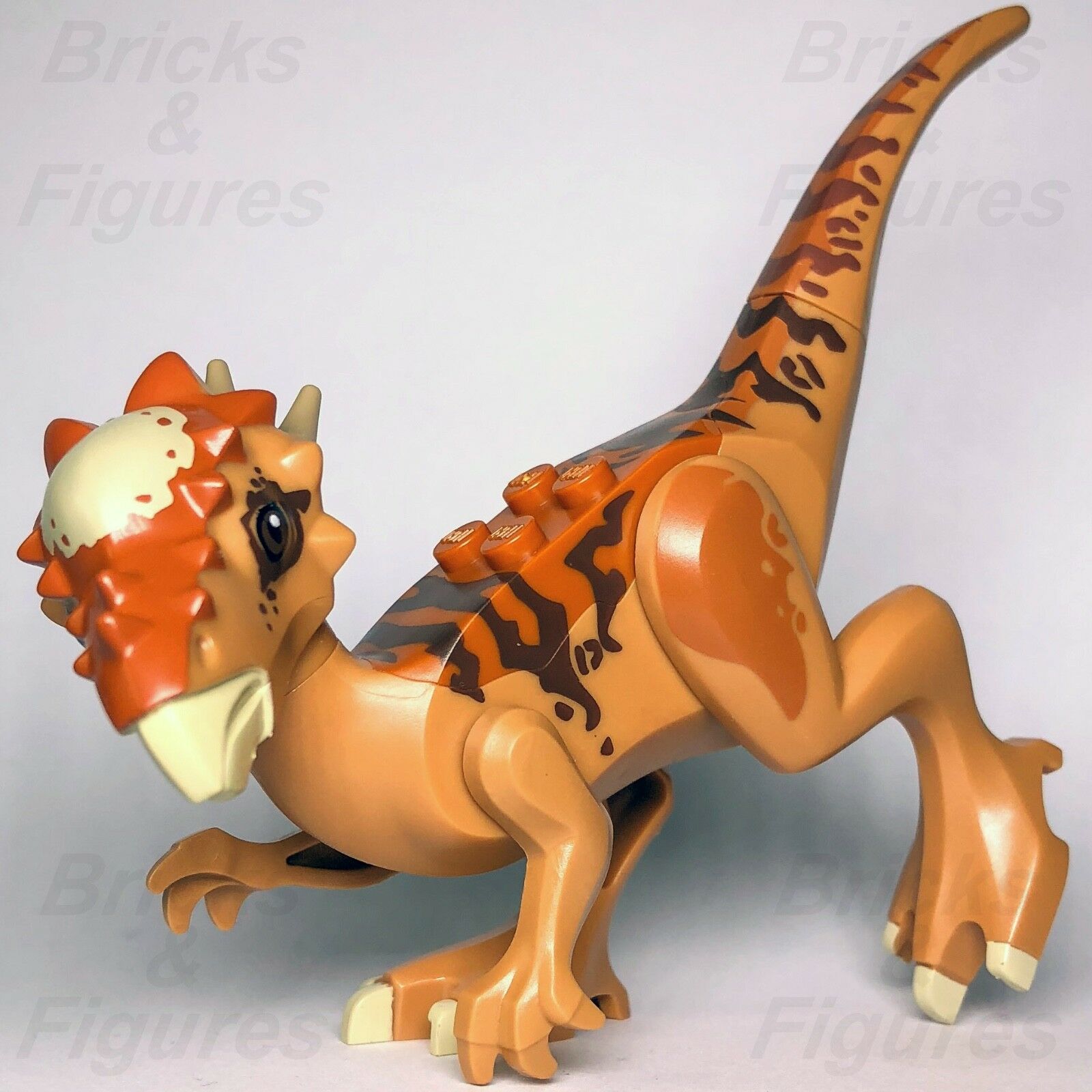 Jurassic hotsell world 75927