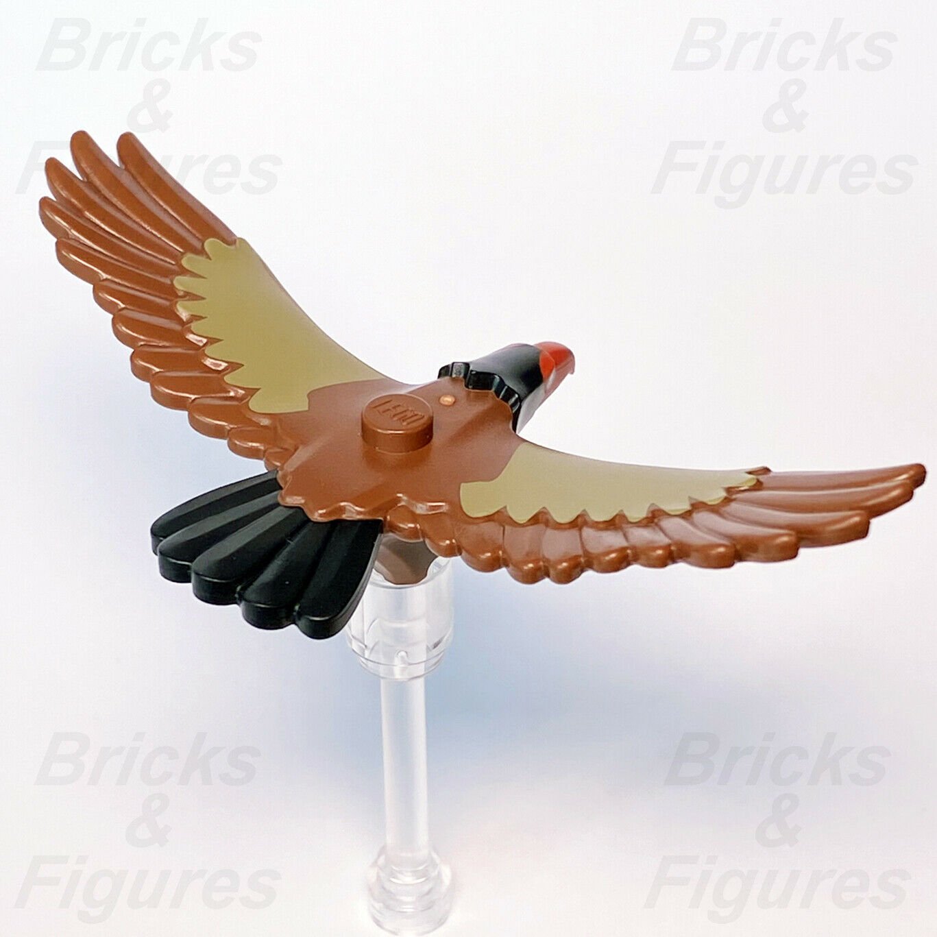 Town City Recreation LEGO Eagle Rare Wildlife Rescue Bird Animal Part 60307 - Bricks & Figures