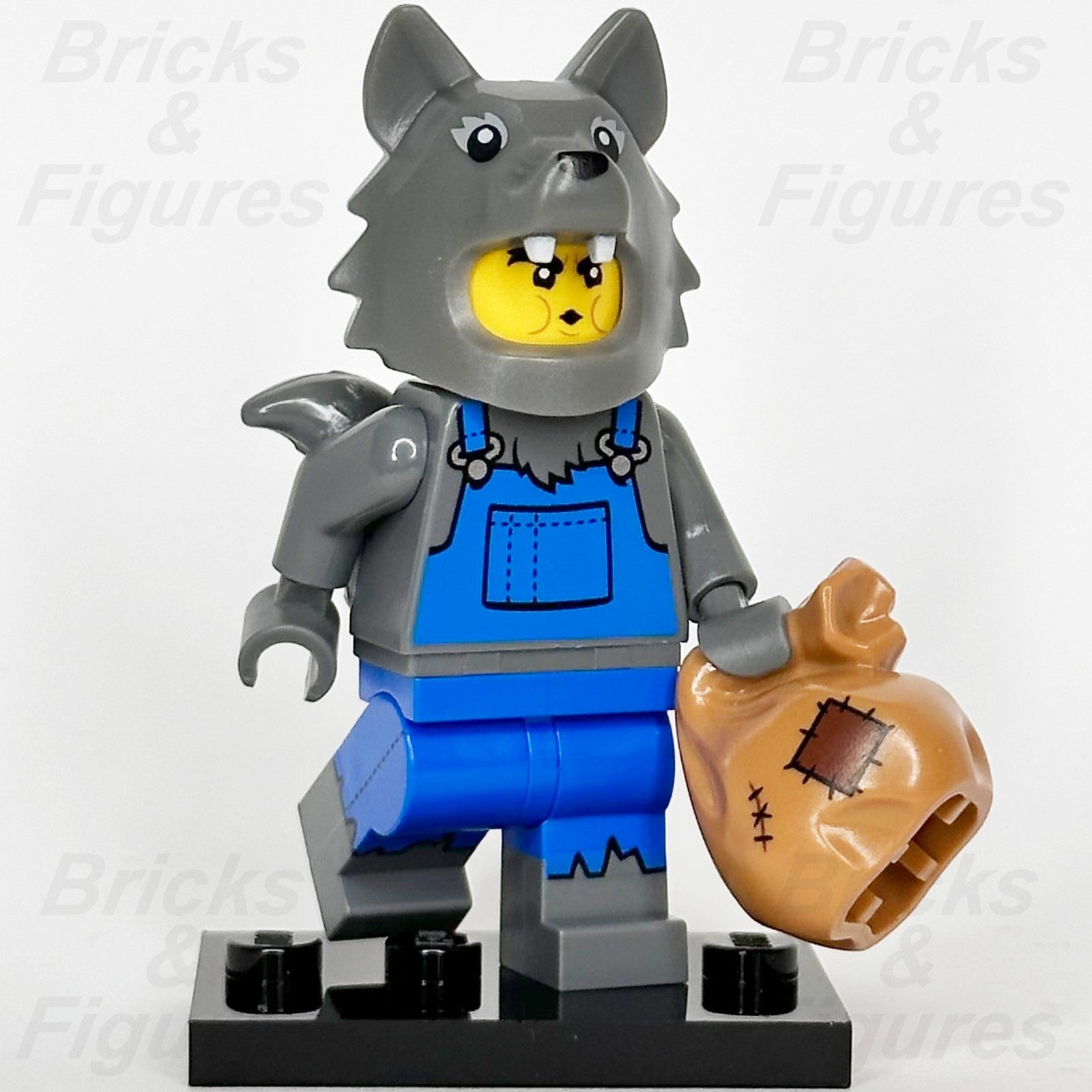 LEGO Collectible Minifigures Series 23