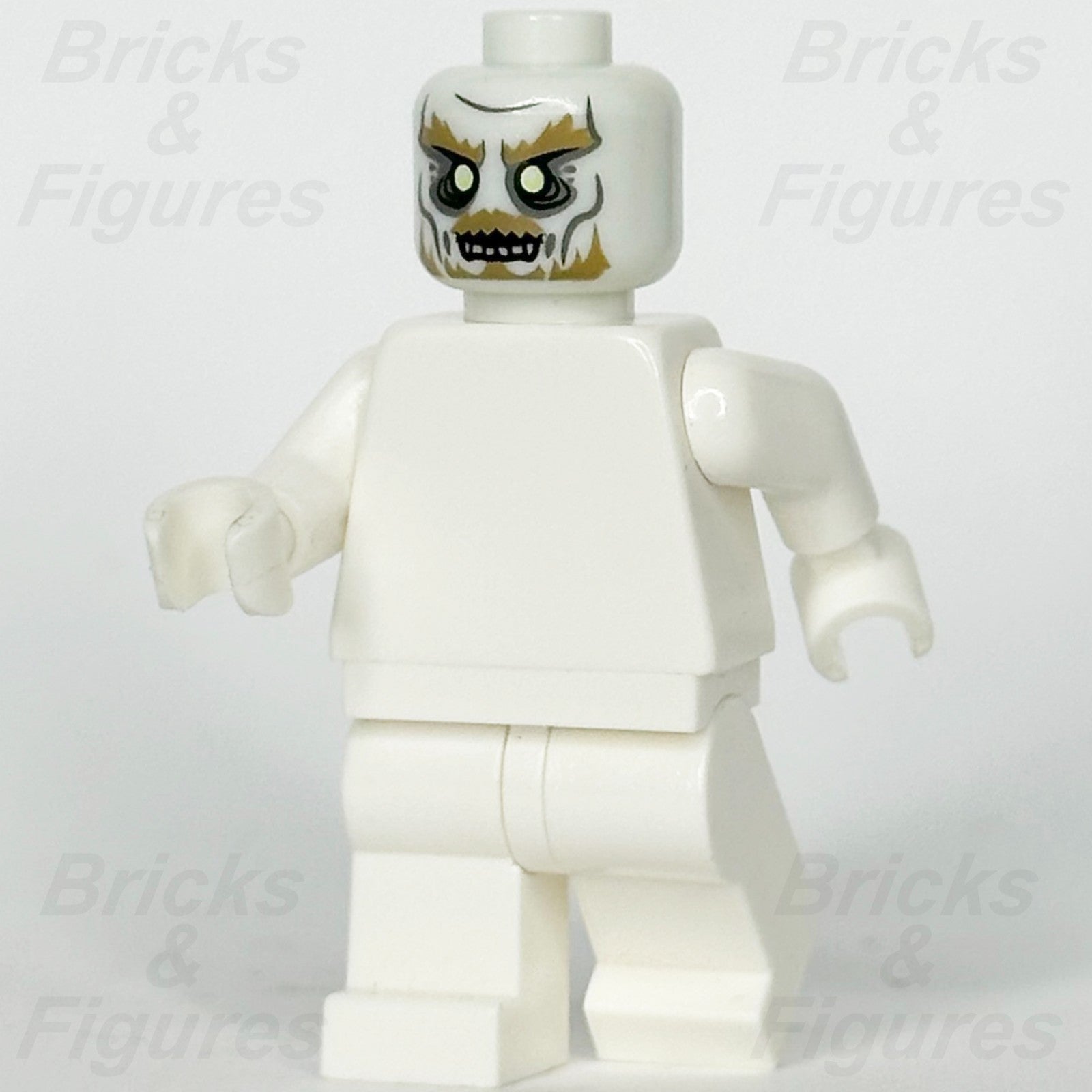 LEGO The Lord of the Rings King of the Dead Minifigure Head Part Glow 790082