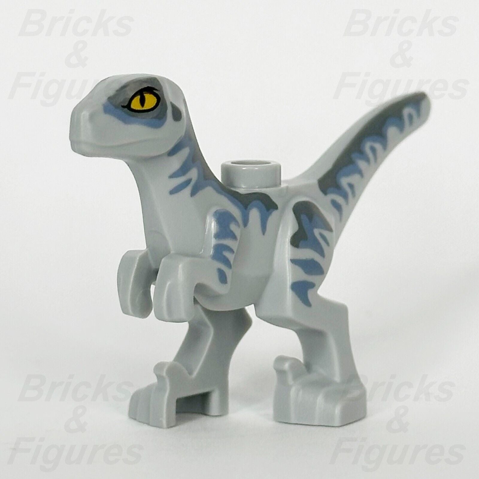LEGO Jurassic World Baby Raptor Dinosaur Minifigure Part Grey & Blue 76963 76965 - Bricks & Figures